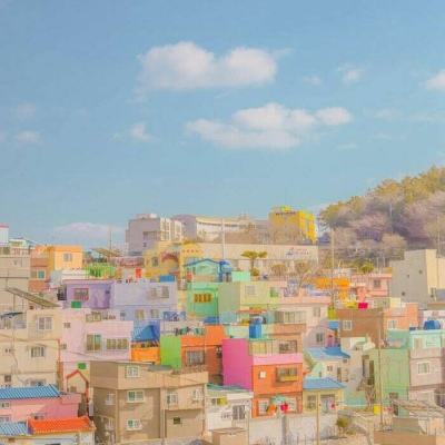 IM体育官网登录入口