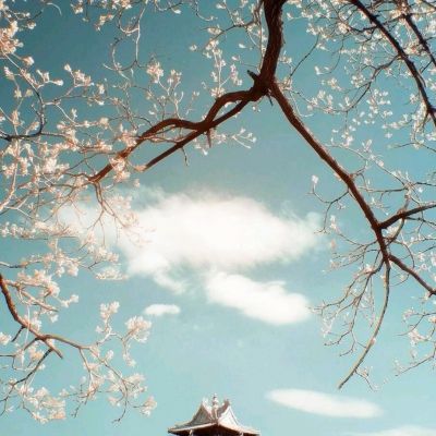 爱游戏全站登录