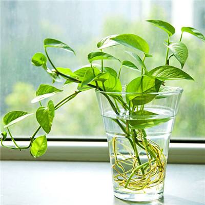 皇冠hg8868新版点此进入