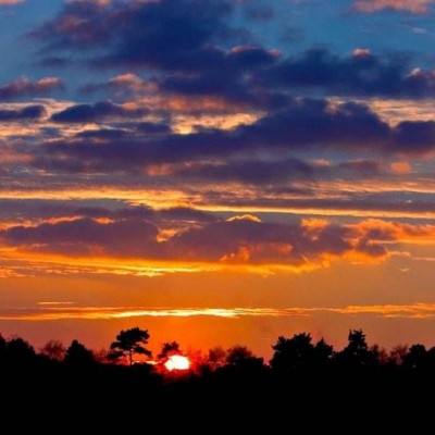 完美说明Store截图