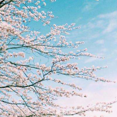 半岛平台官方网站入口